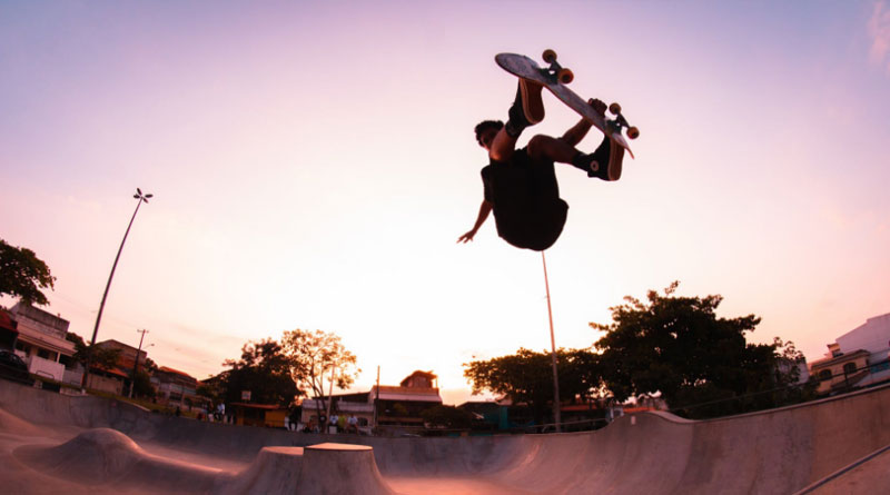Bald hedgehog returns to wild after growing spines 20
